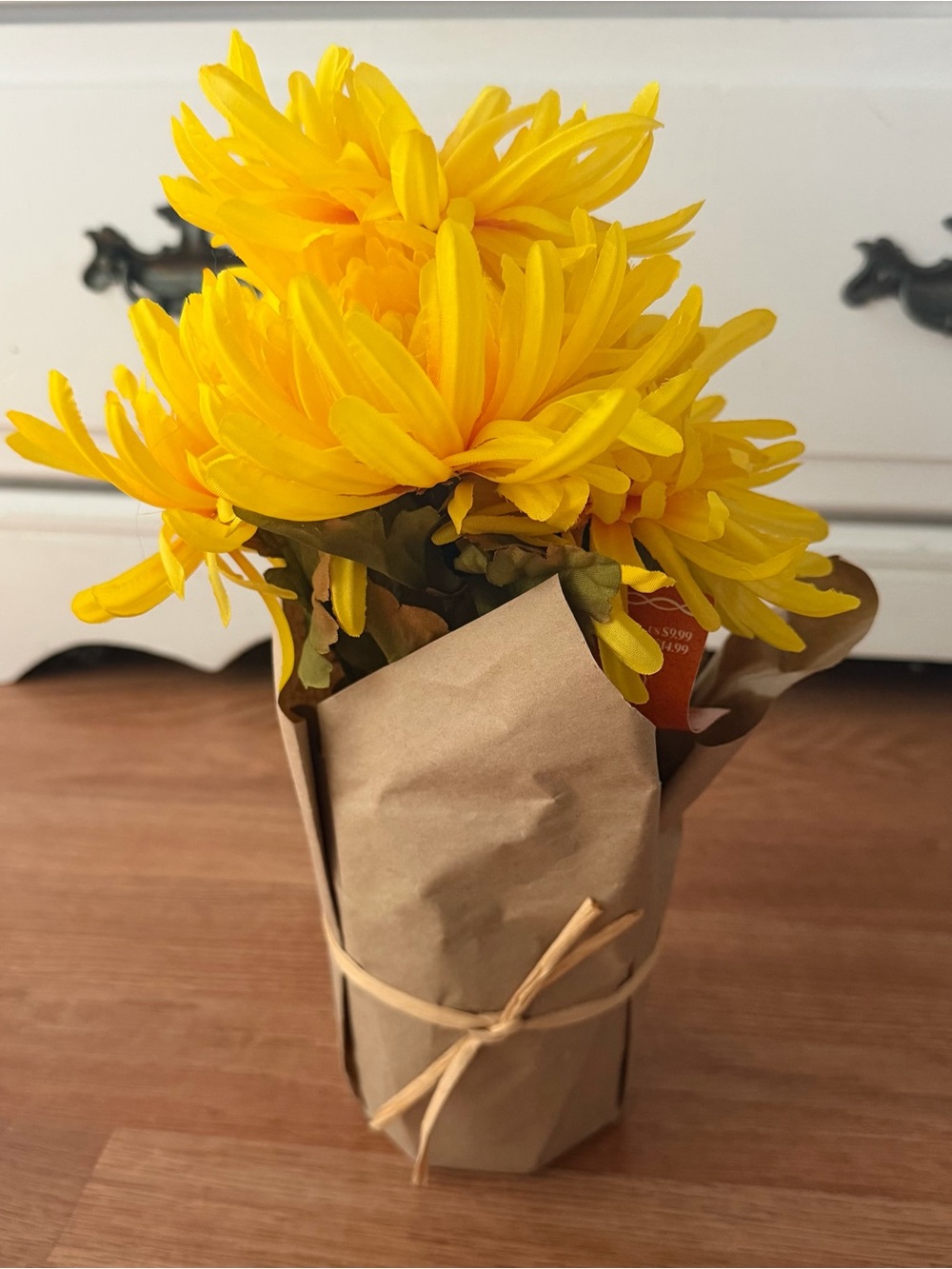 Ashland Potted Yellow Spider Mum